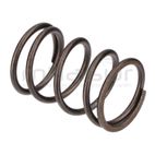 MUELLE VALVULAS LC1P70FC. DC361 (E4) - motoscamaralweb.com