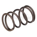 MUELLE VALVULAS LC1P70FC. DC361 (E4) - motoscamaralweb.com