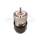 MOTOR MOLINO ANOVA (2020) - motoscamaralweb.com