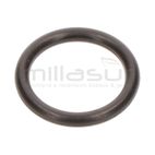 JUNTA TORICA 1.78*11.11 (14) - motoscamaralweb.com