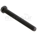 TORNILLO SUJECION CARBURADOR M430HXP - M431HXP (106) - motoscamaralweb.com