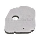 FILTRO AIRE M430HXP - M431HXP (111) - motoscamaralweb.com