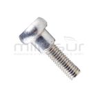 TORNILLO FIJACION ASA M437HXP (44) - motoscamaralweb.com