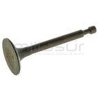 VALVULA ADMISIÓN MA196 (BIO65) - motoscamaralweb.com