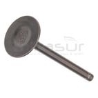 VALVULA ESCAPE MA460 (I4) - motoscamaralweb.com