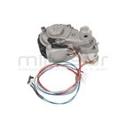 RUEDA IZQUIERDA (KIT COMPLETO) - motoscamaralweb.com