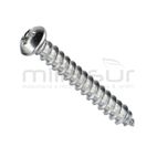 TORNILLO PROTECTOR CADENA ST5X34 MB300 (6) - motoscamaralweb.com