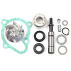Kit de reparación bomba de agua Superdink 200/300 V PARTS - motoscamaralweb.com