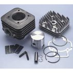 Kit Polini PIAGGIO SFERA-ZIP-FREE 50 D.47 (1400181) - motoscamaralweb.com
