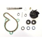 Kit reparación bomba de agua TOP PERFORMANCES motor Derbi Euro3 - motoscamaralweb.com