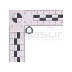 TUERCA CAMPANA EMBRAGUE M8 MC52 (32) - motoscamaralweb.com