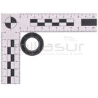 RETEN 19X32X6.5 MC52 (42) - motoscamaralweb.com