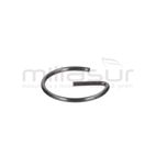 PRESILLA BULON CC340PT (33) - motoscamaralweb.com