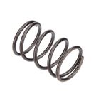 MUELLE VALVULAS GF200FA (196CC) (8) - motoscamaralweb.com