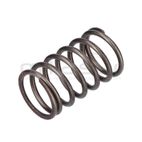MUELLE VÁLVULAS SRV150-SRV180 -CC146T-CC151T (7) - motoscamaralweb.com