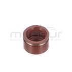 RETÉN VÁLVULA SRV150-SRV180 -CC146T-CC151T (8) - motoscamaralweb.com