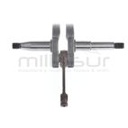 CIGÜEÑAL - motoscamaralweb.com