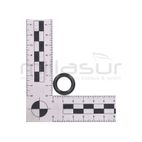 JUNTA TORICA CALA CAJA DE CAMBIOS (B30) MTC340 - motoscamaralweb.com