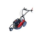 DESBROZADORA DE CUCHILLA MOTOR RV170 - motoscamaralweb.com