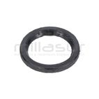 RETEN PISTON 25X18X2.5 BOMBA PG1C (36) - motoscamaralweb.com