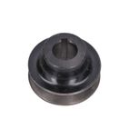 POLEA SALIDA MOTOR (168) - motoscamaralweb.com