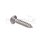 TORNILLO TAPA MOTOR RC2000 (2) - motoscamaralweb.com