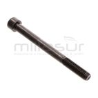 TORNILLO AMARRE BOMBA M8X90 RLT12GVH (58) - motoscamaralweb.com