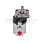 BOMBA RLT22GVH (44) - motoscamaralweb.com