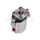 BOMBA RLT35GVH (38) - motoscamaralweb.com