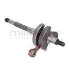 CIGÜEÑAL SG1C - motoscamaralweb.com