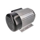 MOTOR ELECTRICO RLT8C - motoscamaralweb.com