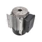 MOTOR ELECTRICO RLT8C - motoscamaralweb.com