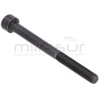 TORNILLO SUJECION ESCAPE M5X55 SG1C. SG2C (A54) - motoscamaralweb.com