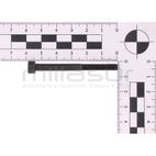 TORNILLO SUJECION ESCAPE M5X55 SG1C. SG2C (A54) - motoscamaralweb.com