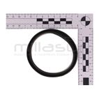 CONEXION GOMA - motoscamaralweb.com