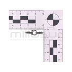 MARIPOSA - motoscamaralweb.com