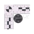 MARIPOSA - motoscamaralweb.com