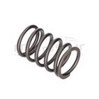 MUELLE VALVULA LC1P91F 546CC (4)-TC108LH LC2P73F 586CC (3) - motoscamaralweb.com