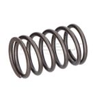 MUELLE VALVULA LC1P91F 546CC (4)-TC108LH LC2P73F 586CC (3) - motoscamaralweb.com