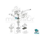 ESCOBILLAS LIJADORA TF2041501 - motoscamaralweb.com