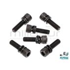 SET 6 TORNILLOS BLOQUEO PORTA-CINCEL TH215456 - motoscamaralweb.com