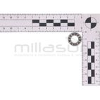RODAMIENTO PLANO CUCHILLAS TPB2202 (3) - motoscamaralweb.com