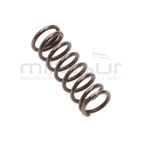 MUELLE GATILLO TPB2502 (30) - motoscamaralweb.com