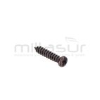 TORNILLO TAPA SUPERIOR 2.5X12 TPB4503 (22) - motoscamaralweb.com