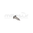 TORNILLO PLACA INTERRUPTOR TPB4503 (25) - motoscamaralweb.com