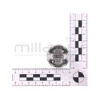 PISTÓN VAREADORA VAR26C (21) - motoscamaralweb.com