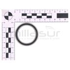 RODAMIENTO CENTRAL CABEZAL PEINE VAREADORA VAR26C (8) - motoscamaralweb.com