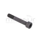 TORNILLO HEXAGONAL M5x30 PEINE VAREADORA VAR370 (20) - motoscamaralweb.com
