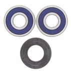 Kit rodamientos de rueda ALL BALLS 25-1353 - motoscamaralweb.com