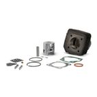 Kit cilindro completo MALOSSI hierro ø 47 mm - motoscamaralweb.com